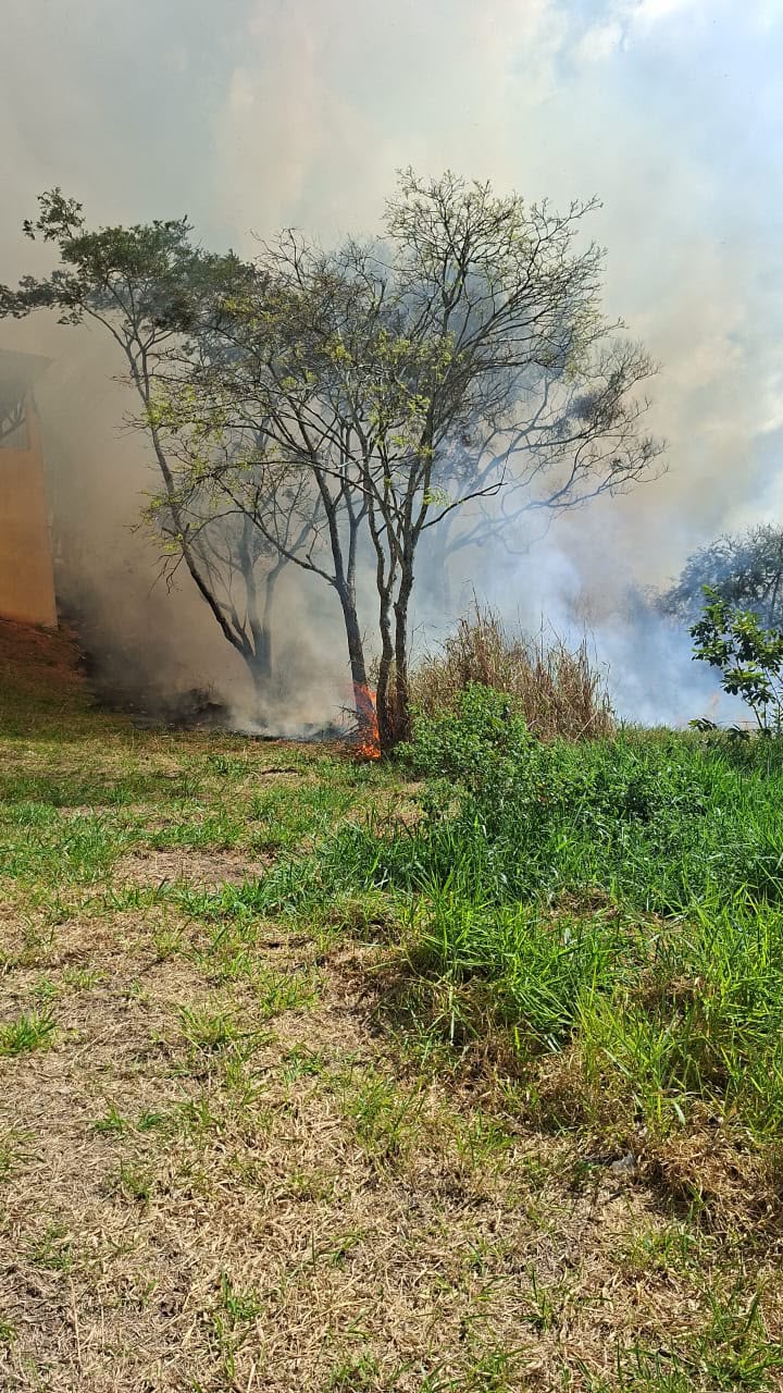 Fogo em área de vegetação próxima à Escola Padre Anchieta. Unidade não foi atingida